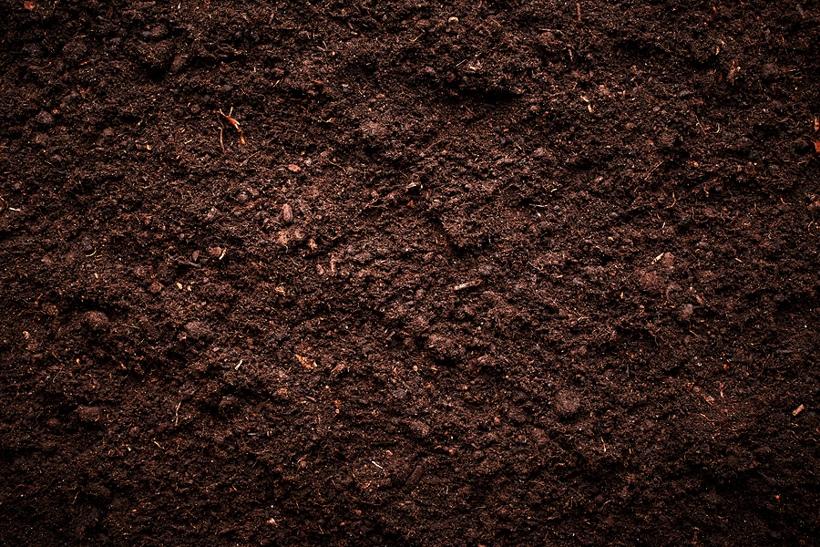 Bulk Landscaping Soil, Topsoil, Blends & Mulch, Gravel, Paving Stones